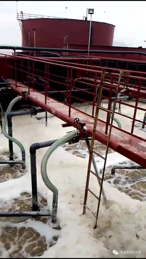 舟山海產品加工廢水處理迎來創新突破 平板陶瓷膜技術成功應用，為海洋環境保護注入新動力